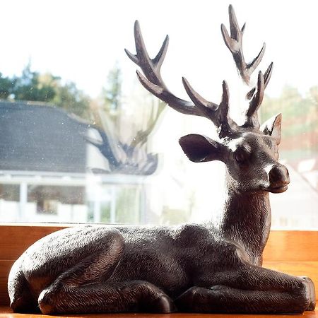 Strathspey Cottage Carrbridge Ngoại thất bức ảnh